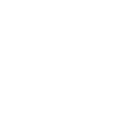 Shadow